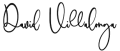 Firma de David Villalonga