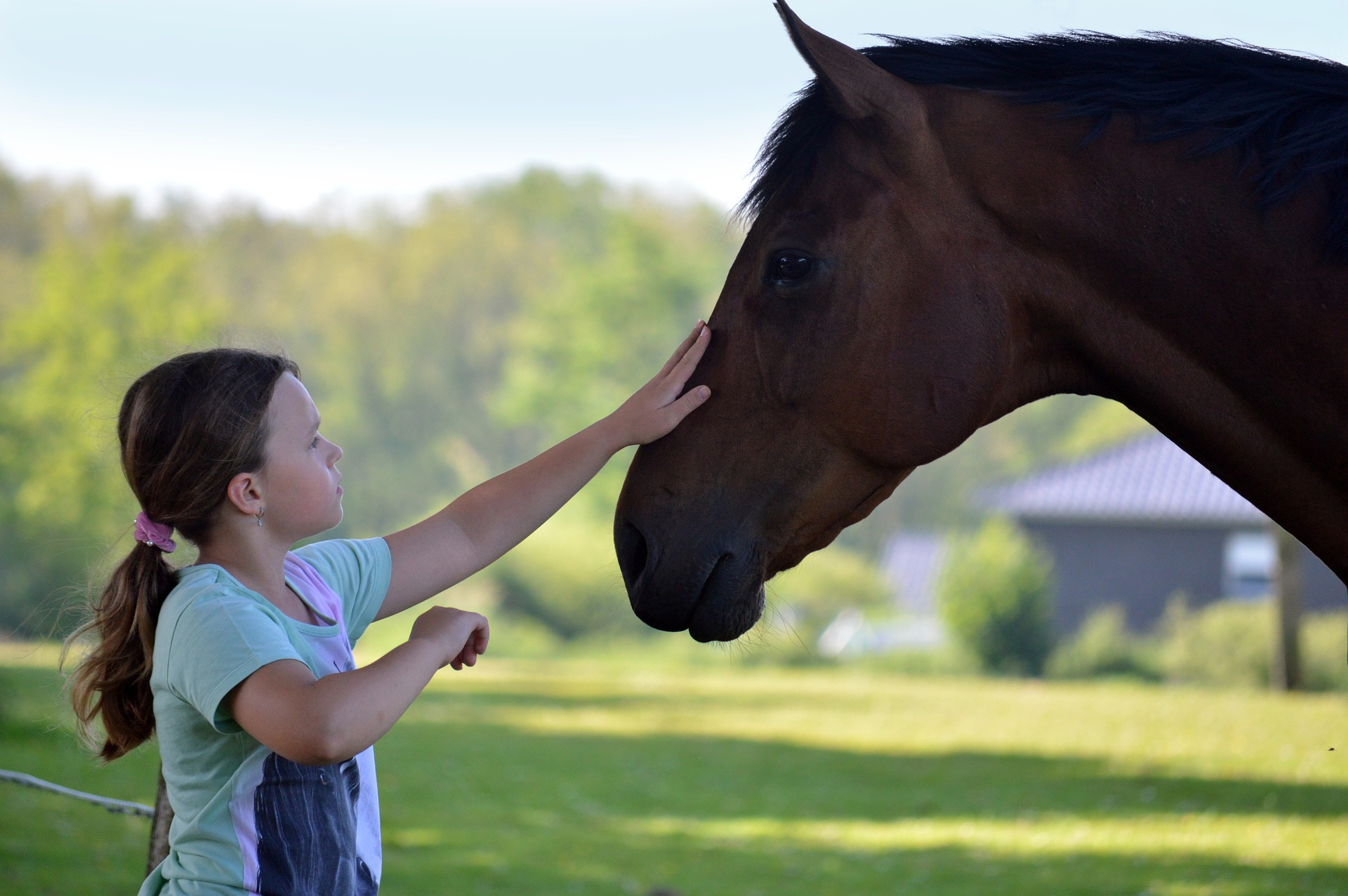 img_terapia_craneosacral_para_animales