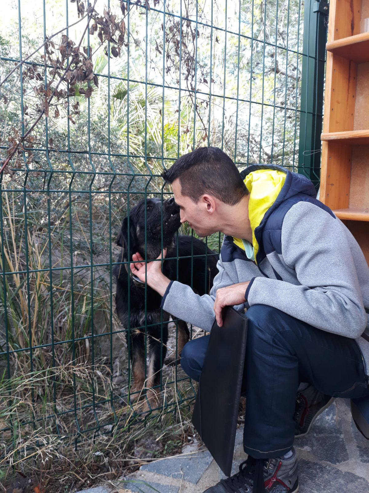 Sobre_mi_david_villalonga